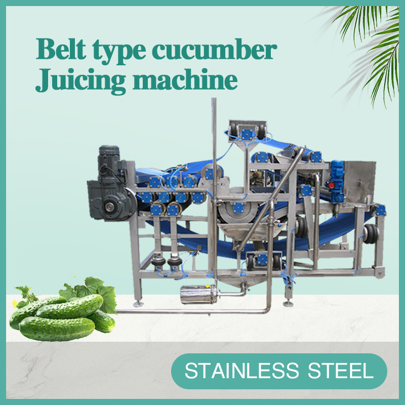 Belt type cucumber Juicing machine