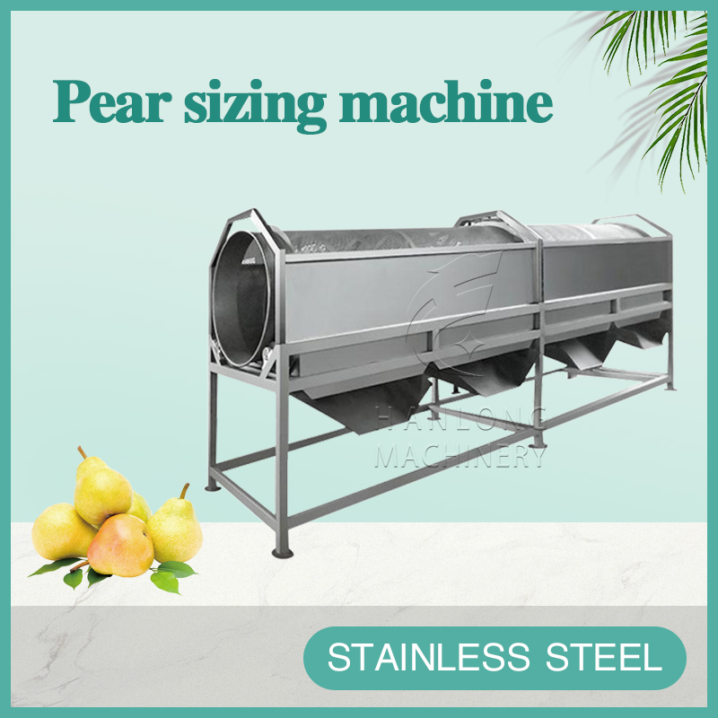 Pear sizing machine