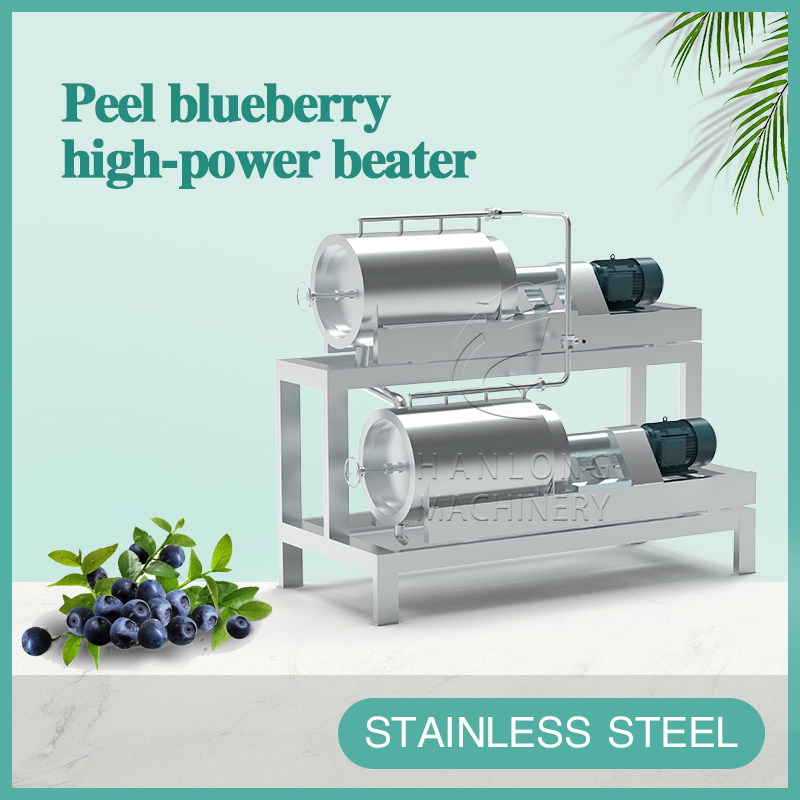 Peel blueberry high-power beater