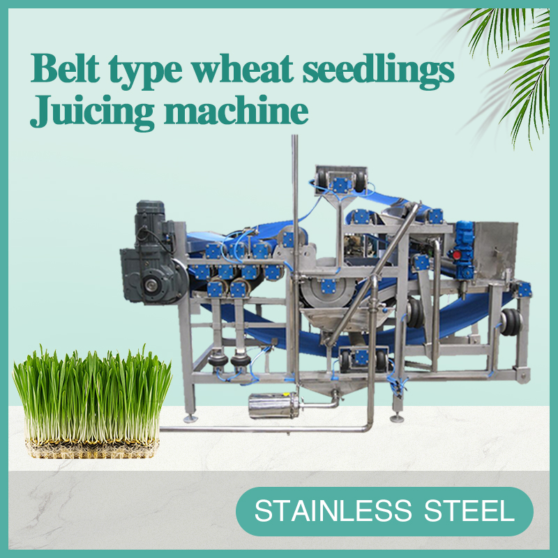 Belt type wheat seedlings Juicing machine