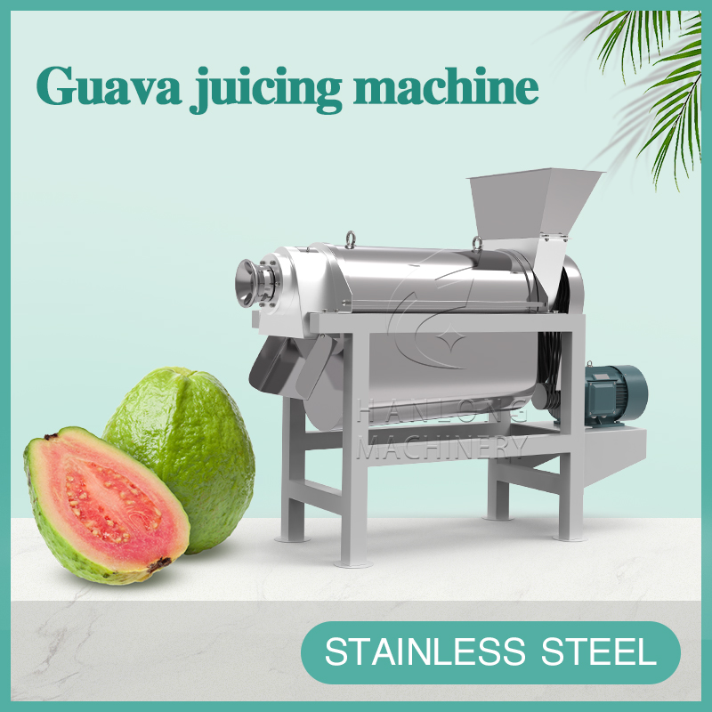 guava juicing machine