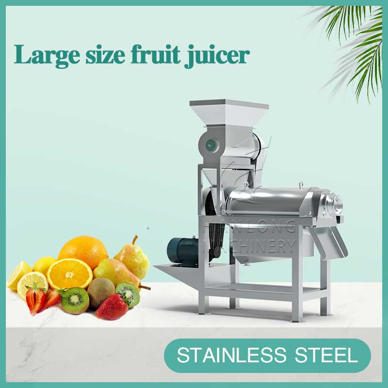 large size fruit juicer