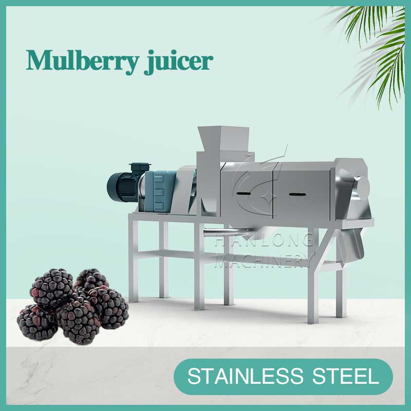 Mulberry juicer