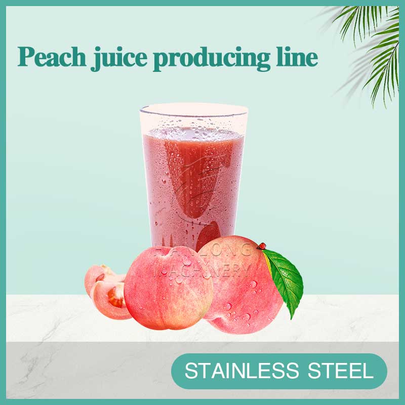 peach juice producing line